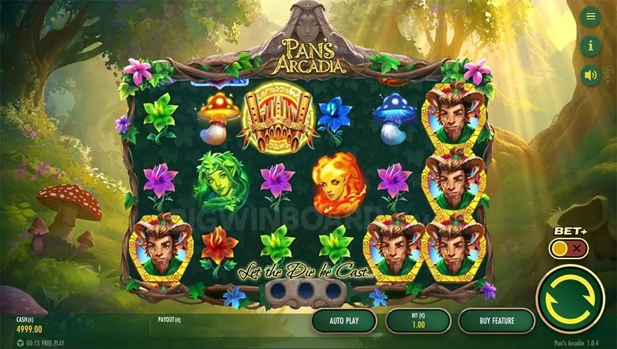 Guide to Bingoplus Web Promotions