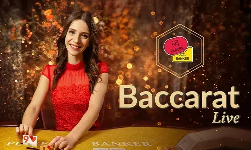 Bingoplus Web Sports Betting