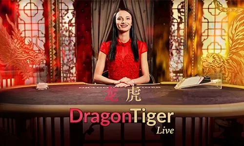 Bingoplus Web Live Casino